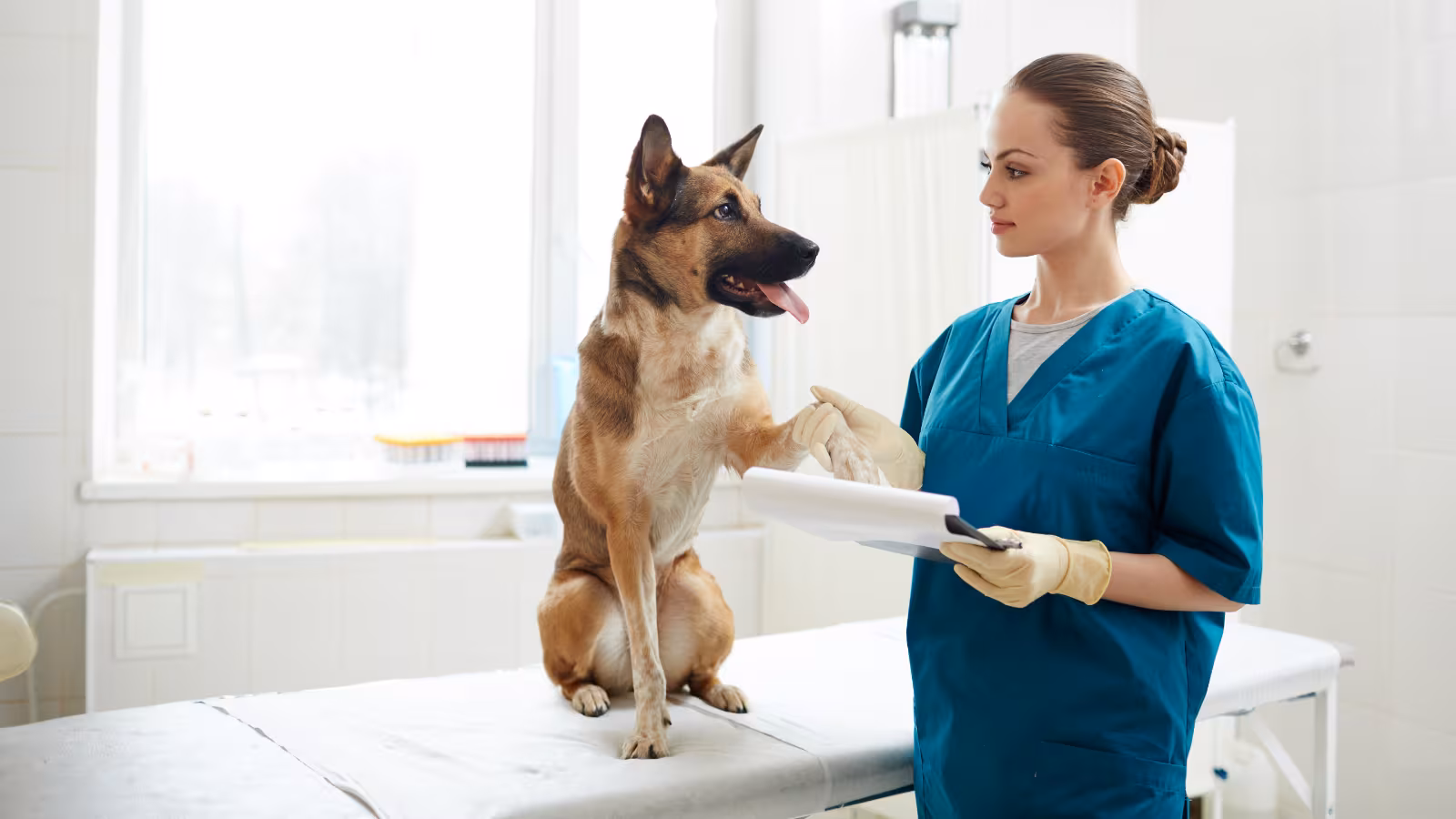 Common Health Issues in Pets That Require Compounded Medications